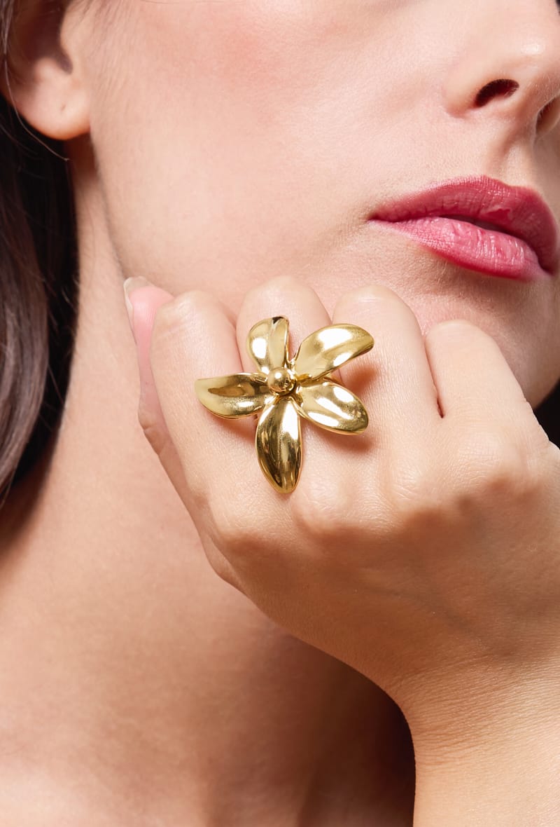 Bague acier inoxydable