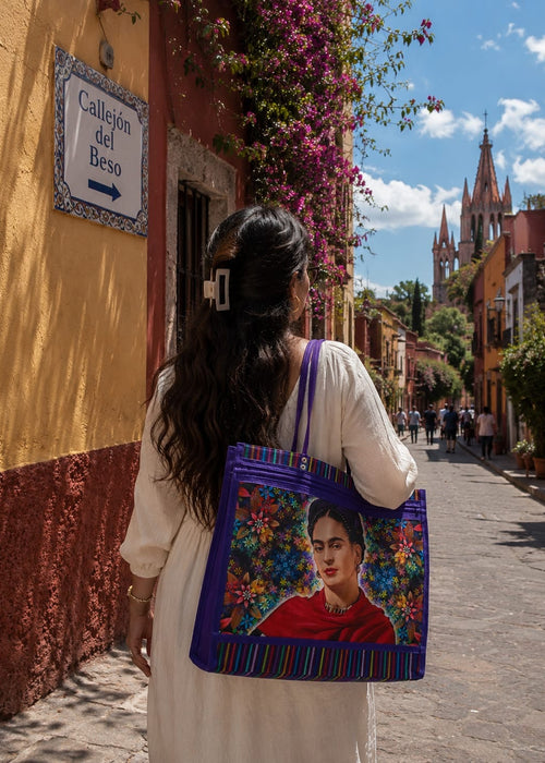 Sac Frida