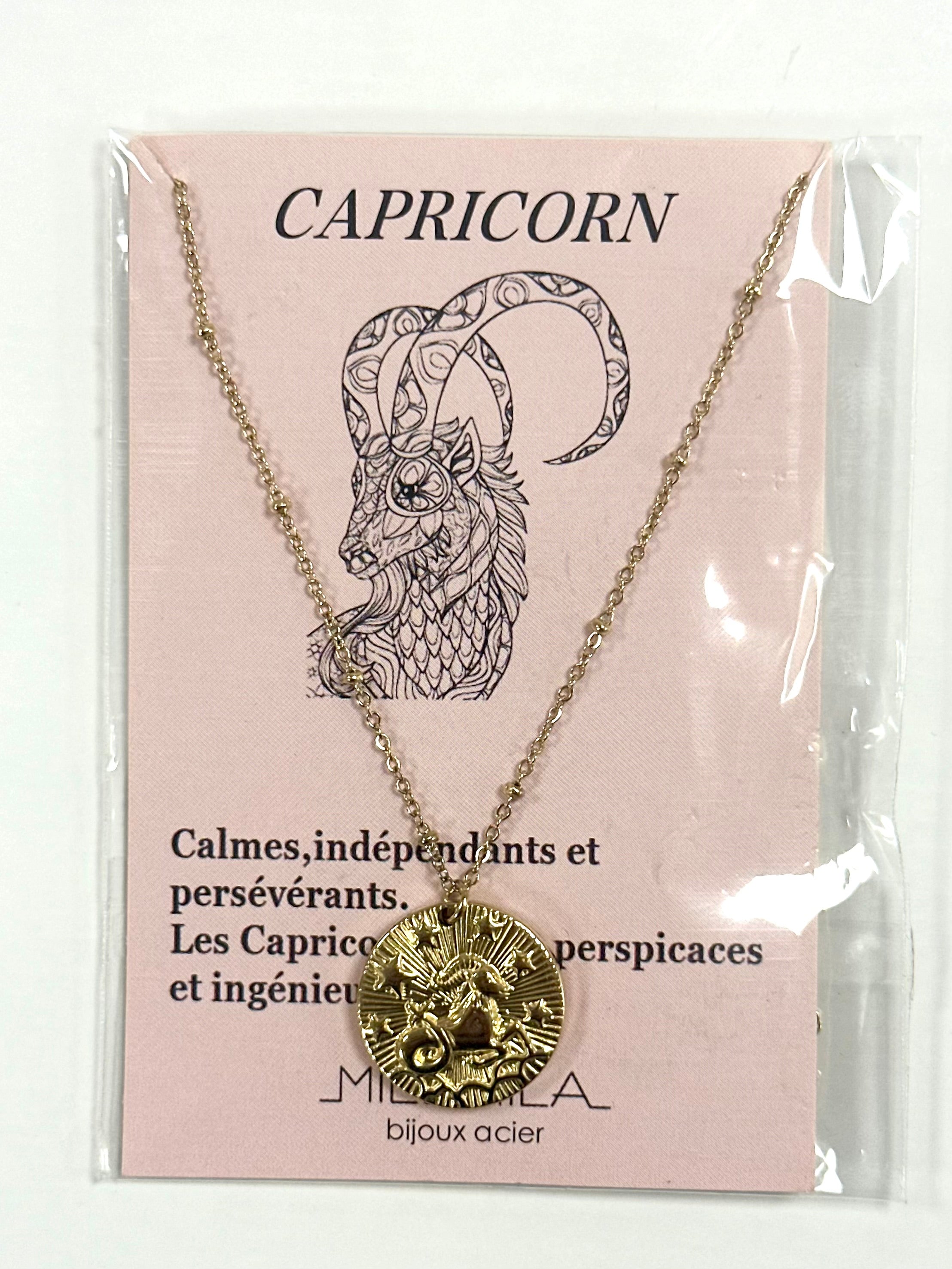 Collier zodiaque Capricorne en acier inoxydable – La Tienda