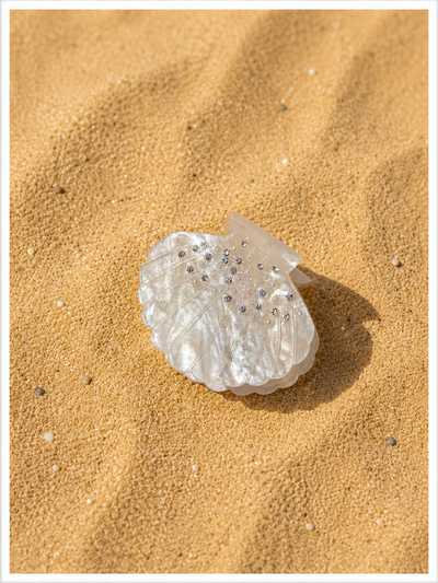 Pince à cheveux Coquillage Scintillante